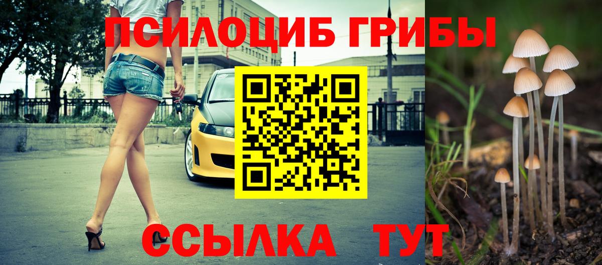 Псилоцибиновые грибы GOLDEN TEACHER Чусовой