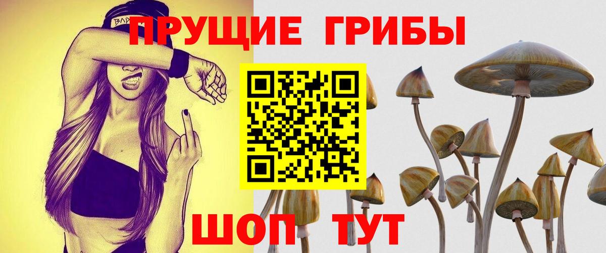 Псилоцибиновые грибы мицелий  Вход с VPN  Чусовой 